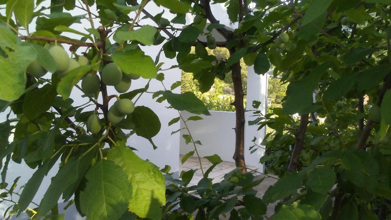Kuca Za Odmor Maka Villa Kučiće Eksteriør billede