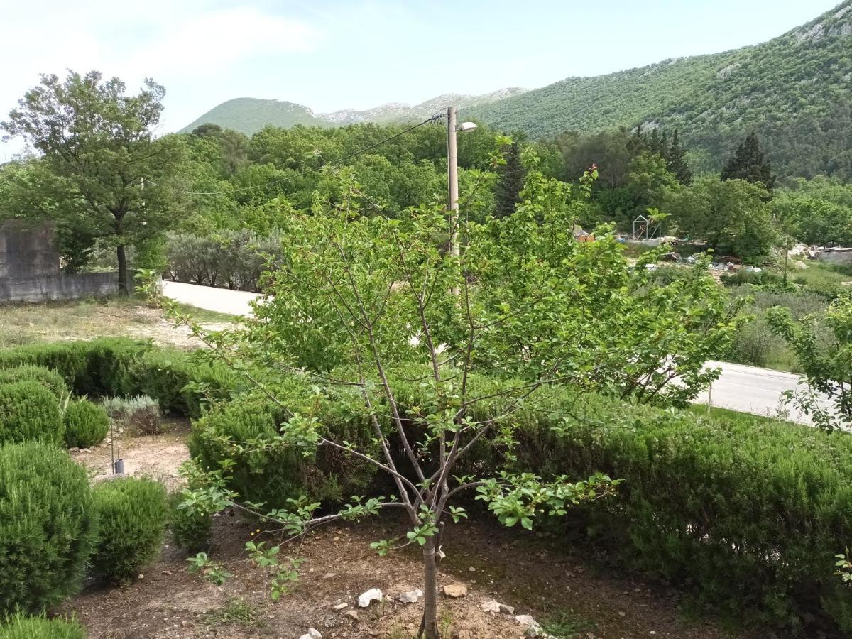 Kuca Za Odmor Maka Villa Kučiće Eksteriør billede